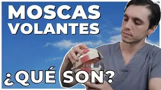 &iquest;Tienes MANCHAS o PUNTOS NEGROS flotando en los ojos? | 🪰 Moscas Volantes o Miodesopsias