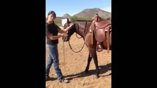 Brandi Lyons teaches how to open and close a gate. Part 1