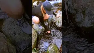 Solo female camping 🌲🏕🌲 #camping #hiking #solofemalecamping