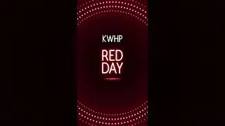RedDay 2023 - Dana Sawicki - Keller Williams Hometown Partners