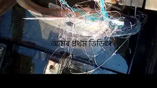 Big Fish Catch in Village River | Real Fishing Experience
