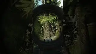 Tarkov: Probably the best spawn at Lighthouse for early PMC kills