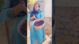 Harvesting mountain barberry and making a natural and delicious barberry juice #rural_life #cooking