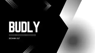 SEOMRA SUÍ | Budly