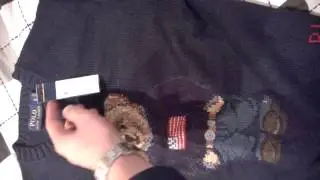Polo Bear Sweater