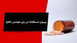 Major Heroin Smuggling Attempt to UAE Foiled by ANF