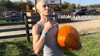 my first time at a pumpkin patch
