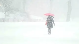 US: Huge snowstorm hits US east coast as New York declares state of emergency