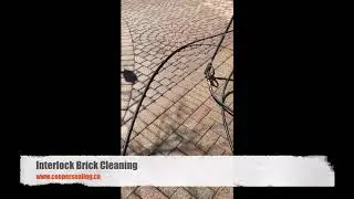 Oakville interlock sealing 2018