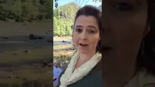Hot Springs- French Broad