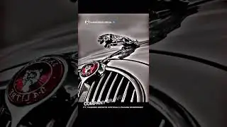 Jaguar vs dog which one is best 👍#youtube#videoshorts#shorts#trending#sigma#rule#motivation
