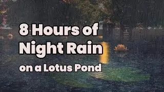 8 Hours of Night Rain on a Lotus Pond | Relaxing Nature Sounds for Deep Sleep