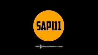 SAPI11 - A FUS&Atilde;O DOS PAP&Eacute;IS! VAI DAR SAMBA OU VAI DAR DOR DE CABE&Ccedil;A?