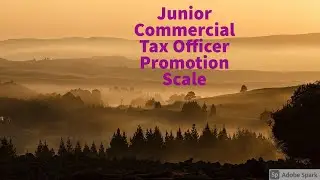 Junior Commercial Tax Officer Promotion Scale ACTO Promotion #RAS, #RPSC,#Promotion