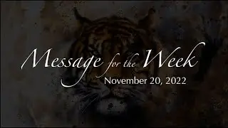 Message for Week November 20, 2022    Lady Casha