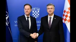 Rutte i tregoi 