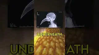 SCP Shower Thoughts&hellip; #93