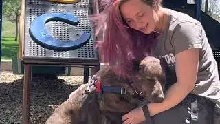 NMDOG JEFF!