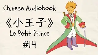 HSK2-3 | Chinese Audiobook《小王子》  #14 (Text in Chinese & French)
