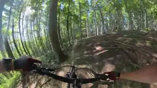 Sauberg Trail Wienerwald - 2024