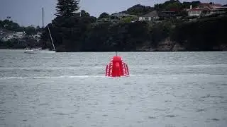 Remote control buoy