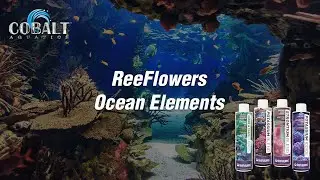ReeFlowers Ocean Elements