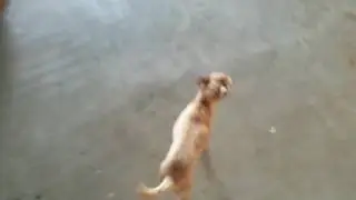 Sorry if you could not hear me