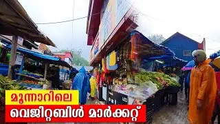 Munnar Vegetable Market || Travel port by hafil salu