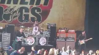 The Winery Dogs performing 