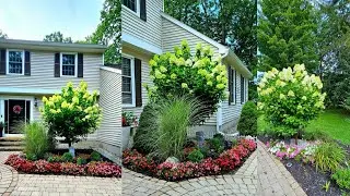 BEFORE AND AFTER FRONT YARD LANDSCAPING//  HYDRANGEAS ARE BLOOMING