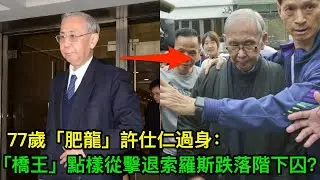 77歲「肥龍」許仕仁過身：養馬330萬、包養空姐850萬、收賄3400萬，「橋王」點樣從擊退索羅斯跌落階下囚？