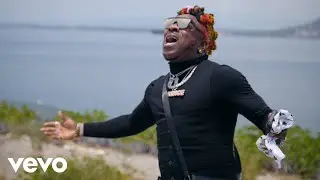 Elephant Man - The Cure (Official Video)