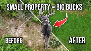 How to Build a DIY Food Plot on Just 5 Acres (4 Easy Steps)