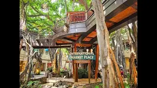 🚶Inside Waikiki&rsquo;s International Market Place Shopping Center | Walking Tour