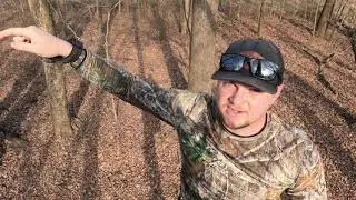 Late december scout/Hunt