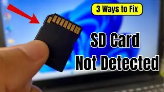 SD-карта не отображается в Windows 11 (3 способа решения)