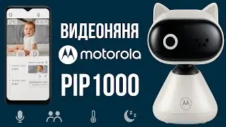 ВИДЕОНЯНЯ Motorola PIP1000 Connect | Wi-FI
