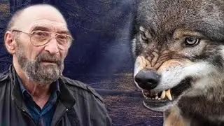 The man fed the wolves and after a while the wolves saved his life