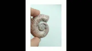 Брошь Ракушка сделана из кожи