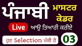 Punjabi Master Cadre Preparation | Master Cadre । Study Fighters