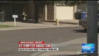 Brother 'karate-chops' man who tried to grab 5-year-old girl