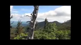 The Black Mountains - Deep Gap Trail