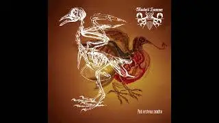 Master's Hammer/Blackosh (Czk) - Pod Vrstvou Prachu / 6,66 Promile Split