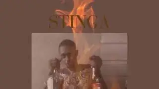 STINGA -  WICKED HEART