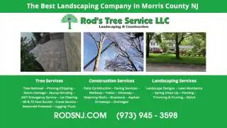 Tree Service Company Kinnelon NJ