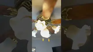 Hampton bay landmark iii plus ceiling fan on low speed