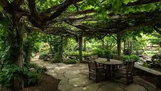 Crafting A Secret Backyard Garden Pergola With Climbing Edibles