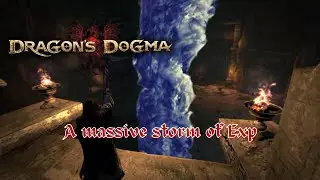 Dragon's dogma So you want to level up?