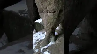 Kurza Stopka - Błędne Skały