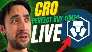 🔴LIVE 🔴CRO & BTC STILL DUMPING [BEGINNER TA & TRADING]💙